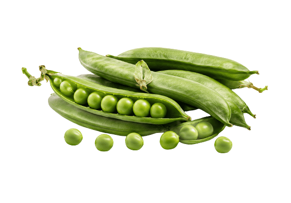 Plant protein blend